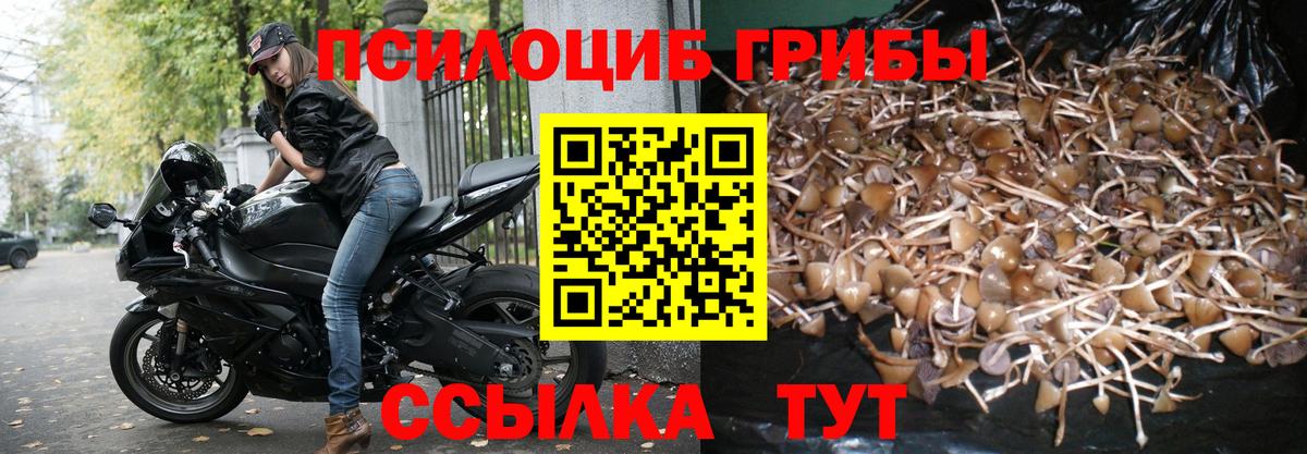 Воронеж  Псилоцибиновые грибы Cubensis  Вход с VPN  Псилоцибиновые грибы прущие грибы 